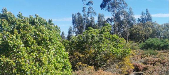 Terrain à Recarei, Portugal No. 34252 24