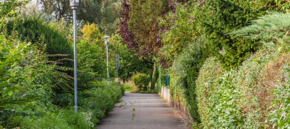 4 غرف نوم منزل في Rhein-Neckar-Kreis, Germany رقم 272477 7