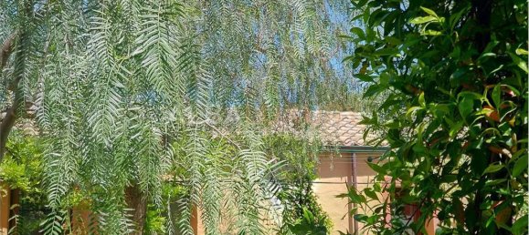 9 bedrooms Villa in Sardinia, Italy No. 245470 12