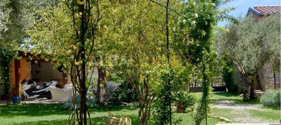 9 bedrooms Villa in Sardinia, Italy No. 245470 5