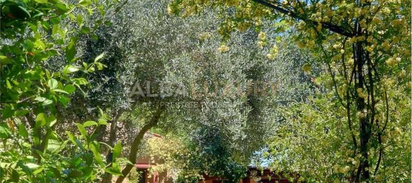 9 bedrooms Villa in Sardinia, Italy No. 245470 7