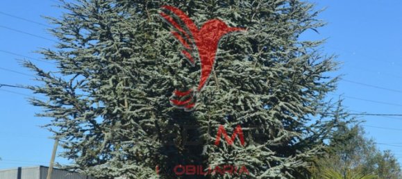 Дом с 16 спальнями в Палмела, Португалия № 124728 19