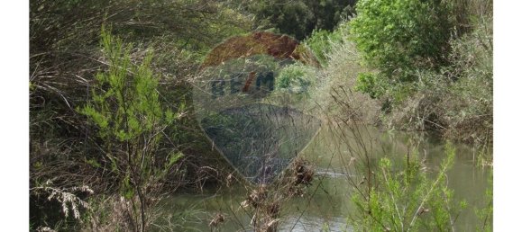 62280m² Land in Silves, Portugal No. 38544 12