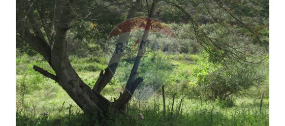 62280m² Land in Silves, Portugal No. 38544 24