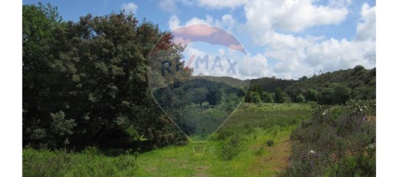 62280m² Land in Silves, Portugal No. 38544 6