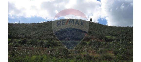 62280m² Land in Silves, Portugal No. 38544 17