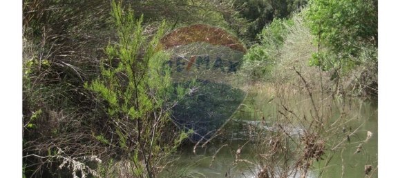 62280m² Land in Silves, Portugal No. 38544 10