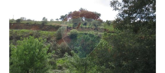 62280m² Land in Silves, Portugal No. 38544 23