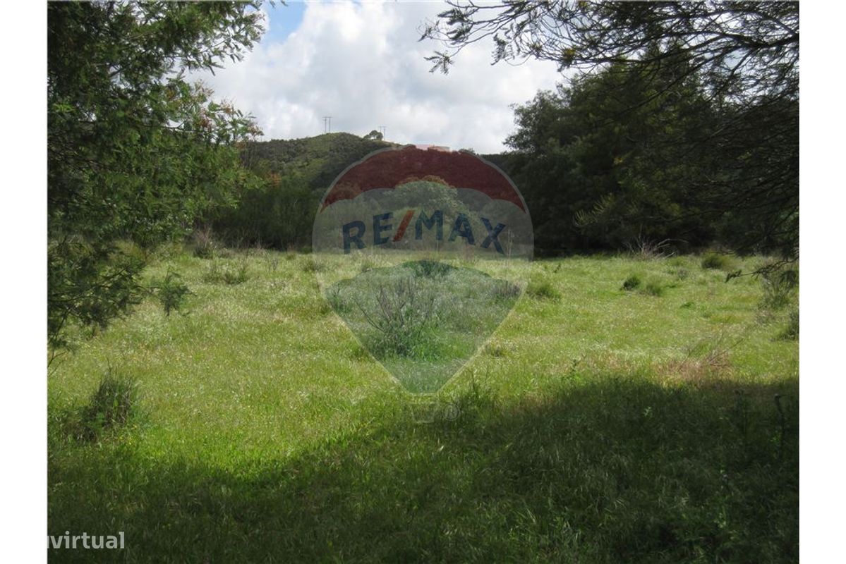 62280m² Land in Silves, Portugal No. 38544