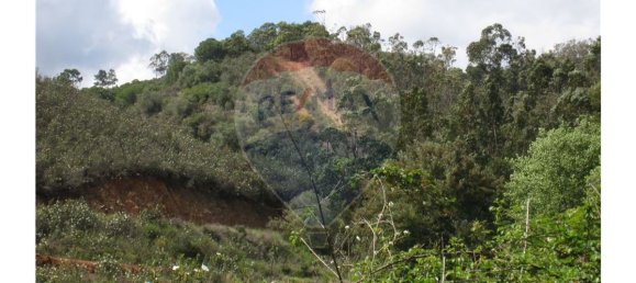 62280m² Land in Silves, Portugal No. 38544 5