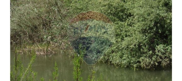 62280m² Land in Silves, Portugal No. 38544 3