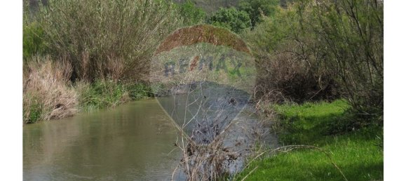 62280m² Land in Silves, Portugal No. 38544 13