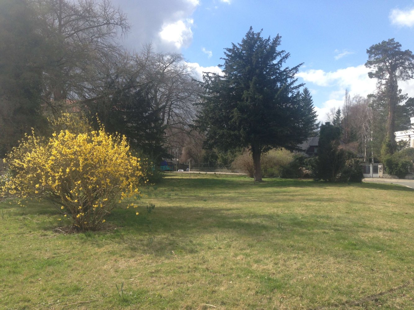 3 rooms Apartment in Grunewald, Germany No. 18929