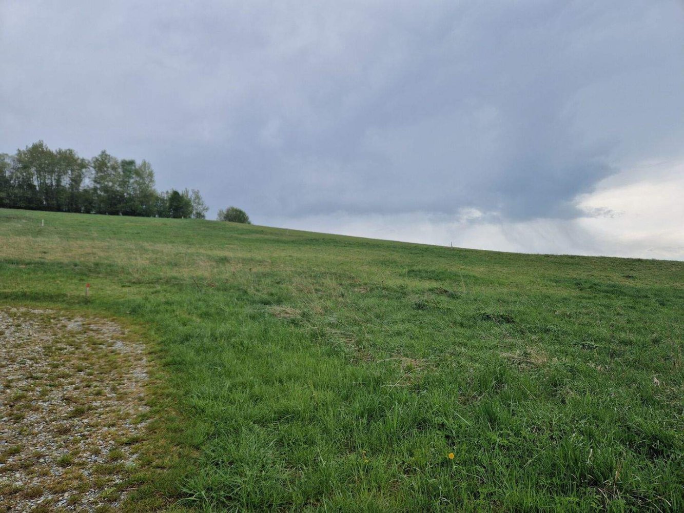 قطعة أرض في Weinzierl am Walde, Austria رقم 246201