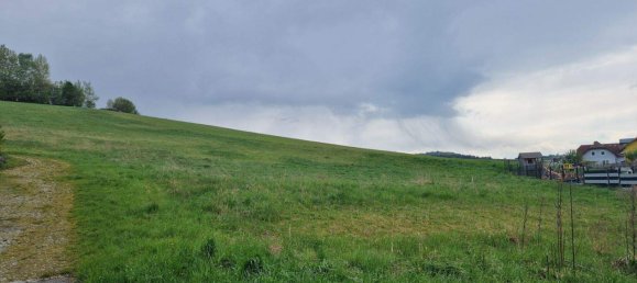 Land in Weinzierl am Walde, Austria No. 246201 2