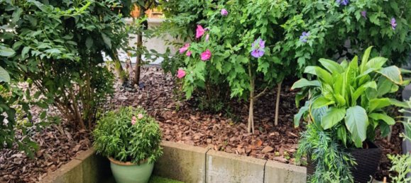 1 غرف نوم شقة في Haguenau, France رقم 39343 3