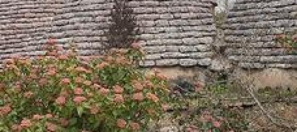 4 rooms Villa in Martina Franca, Italy No. 288896 3