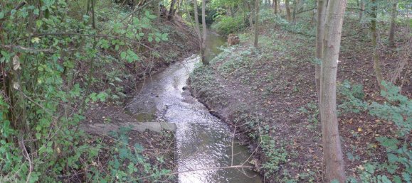 Apartamento de 3 habitaciónes en Bonn, Germany No. 9441 8