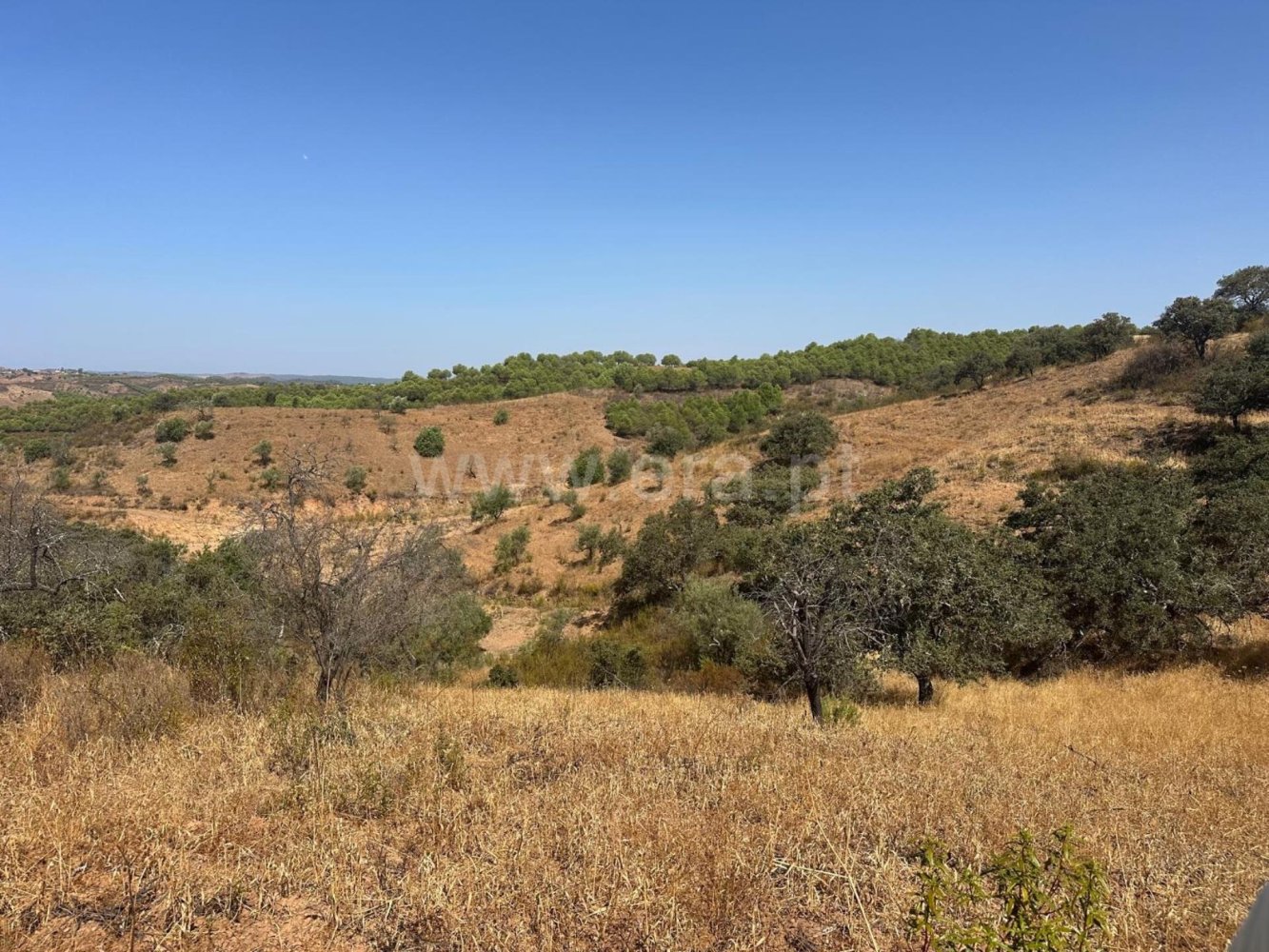 Terrain à Odeleite, Portugal No. 351649