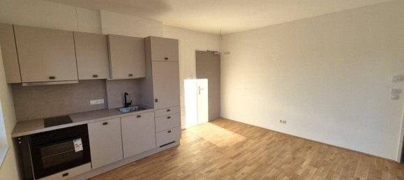 Studio in Krems an der Donau, Austria No. 226050 3