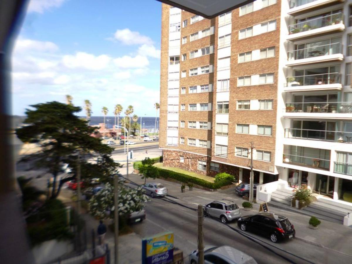 Квартира с 3 спальнями в Монтевидео, Уругвай № 11647