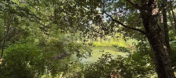 2 Schlafzimmer Haus in Cote-d'Or, France, Nr. 358620 23