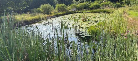 2 Schlafzimmer Haus in Cote-d'Or, France, Nr. 358620 19