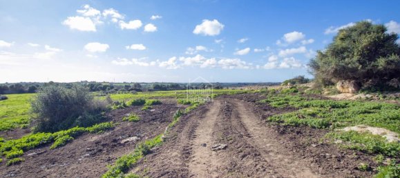 8 bedrooms House in Ferreries, Spain No. 4035 11