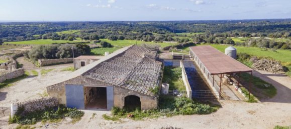 8 bedrooms House in Ferreries, Spain No. 4035 3
