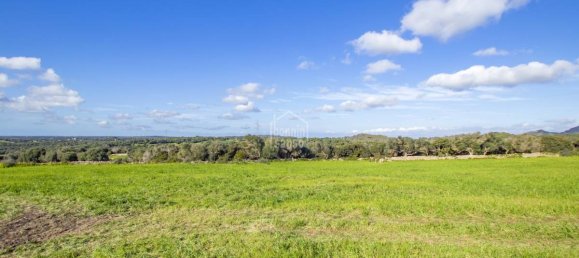 8 bedrooms House in Ferreries, Spain No. 4035 4