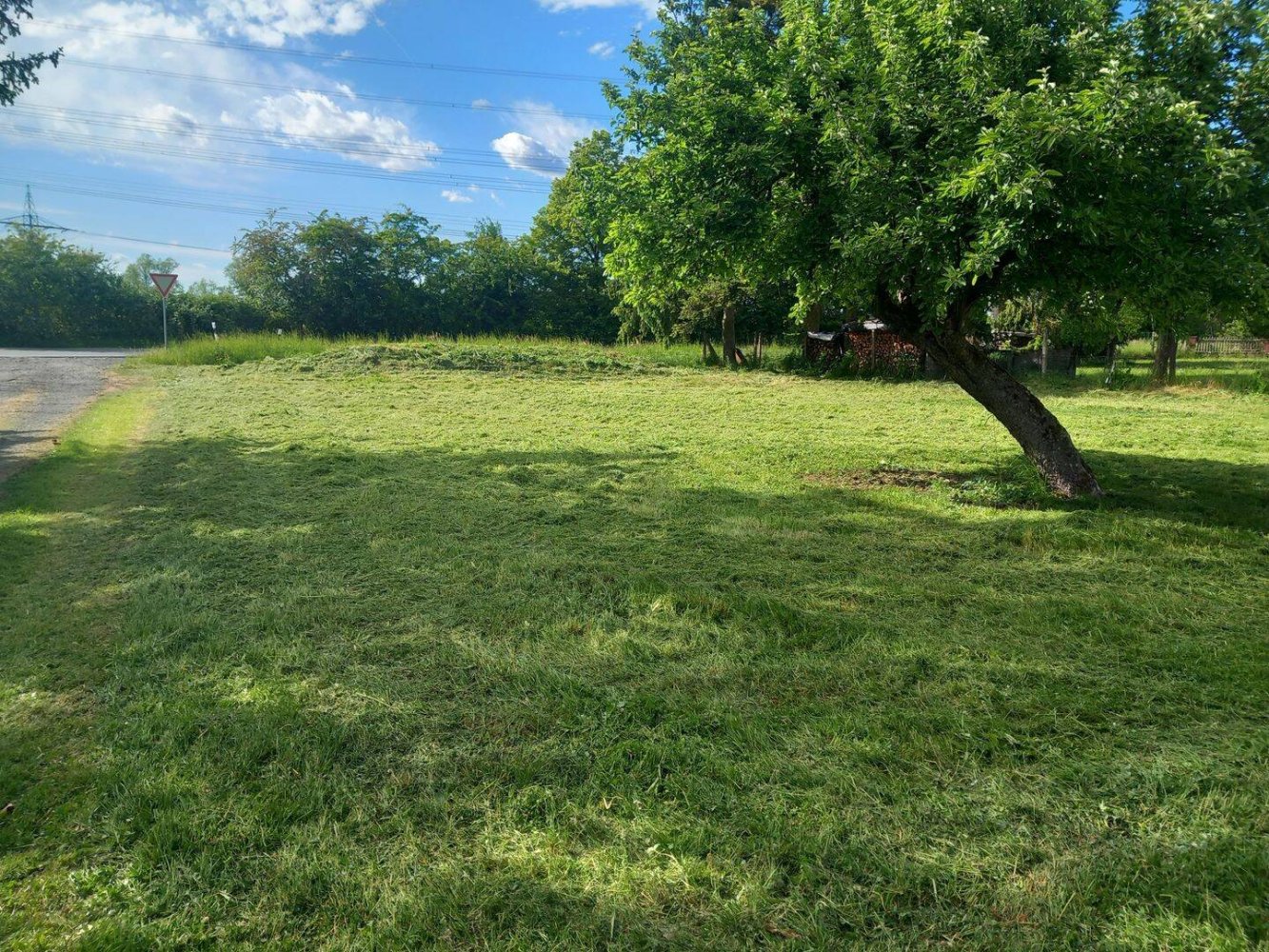  Land in Marburg-Biedenkopf, Germany No. 226574