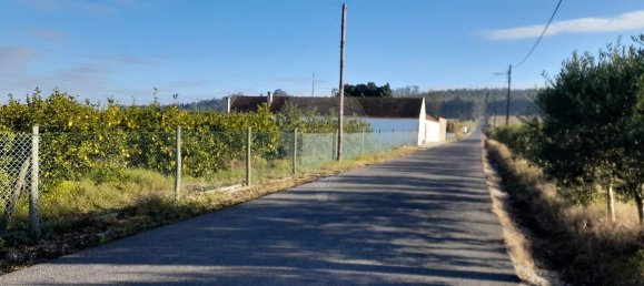 Дом с 3 спальнями в Фазендаш де Алмейрин, Португалия № 25580 4