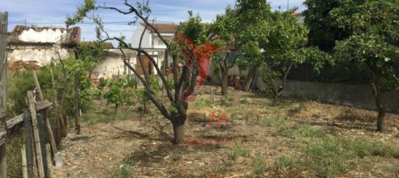 431m² Land in Muge, Portugal No. 63862 6