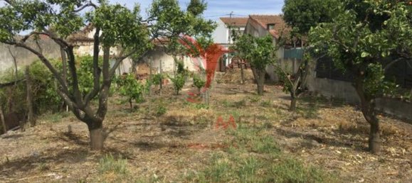 431m² Land in Muge, Portugal No. 63862 4