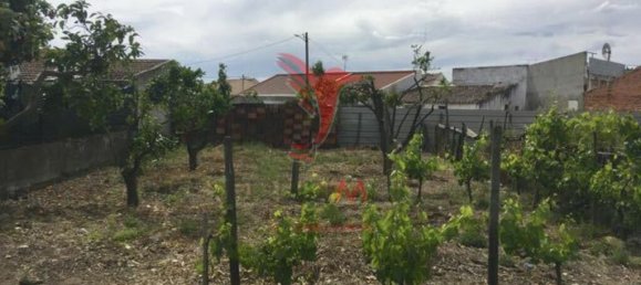 431m² Land in Muge, Portugal No. 63862 5