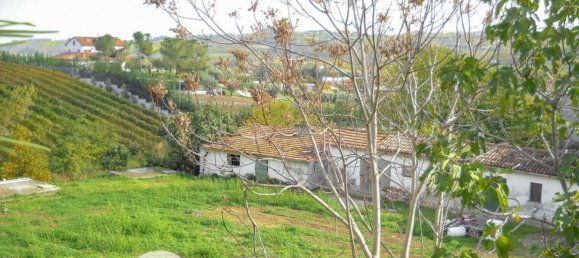 4-Zimmer Haus in Cesena, Italy, Nr. 98664 12