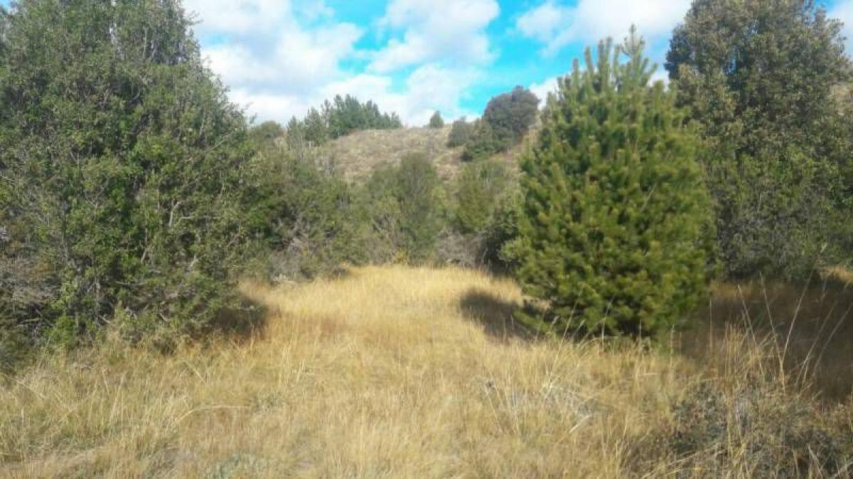  قطعة أرض في Neuquen, Argentina رقم 37592