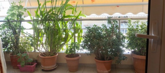 3 Schlafzimmer Wohnung in Agioi Anargyroi, Greece, Nr. 2494 18