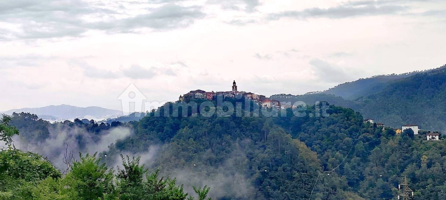 3 bedrooms House in Borghetto di Vara, Italy No. 172855