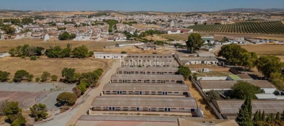 28000m² Building in Campillos, Spain No. 166714 10