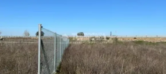 Terreno em Villanueva de Duero, Spain N.º 89700 5