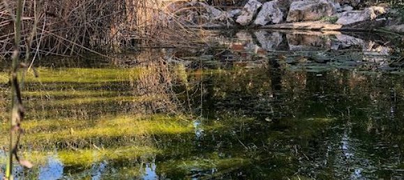 5 bedrooms Finca in Almeria, Spain No. 12137 26