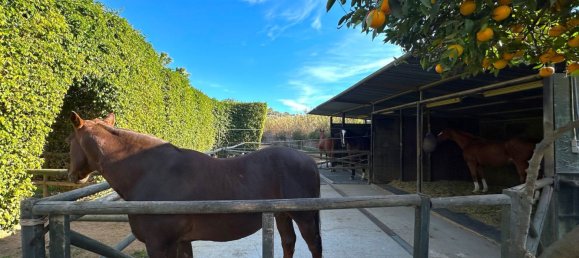 3 bedrooms House in Estepona, Spain No. 138817 35