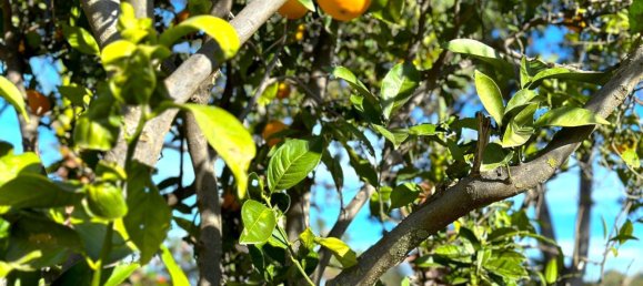 3 bedrooms House in Estepona, Spain No. 138817 17