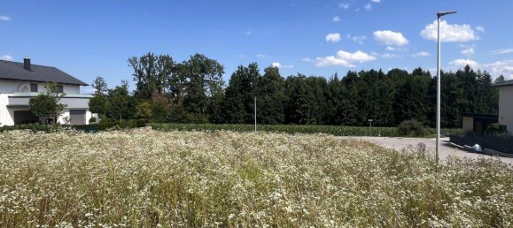 Terrain à Pucking, Austria 909m² No. 145999 3