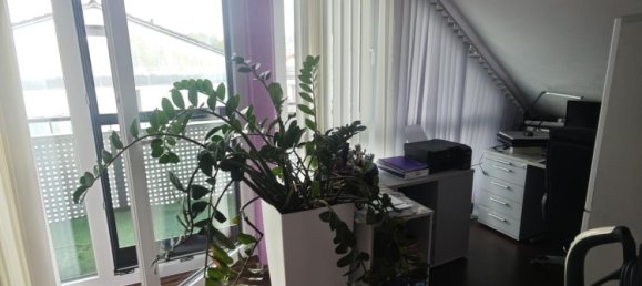 4 bedrooms House in Rhein-Neckar-Kreis, Germany No. 341807 17