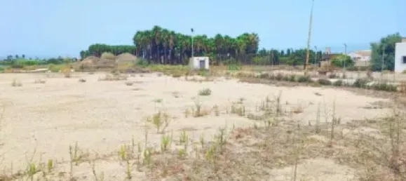 مستودع في Sueca, Spain 419متر مربع رقم 133744 2