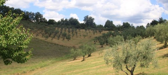 Дом с 22 спальнями в Реджелло, Италия № 188356 19