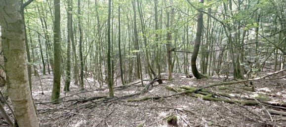 Grundstück in Schwandorf, Germany, Nr. 38305 6