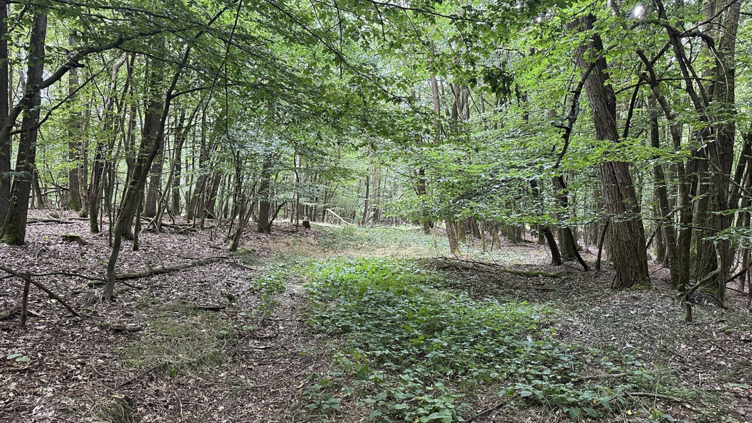 Grundstück in Schwandorf, Germany, Nr. 38305